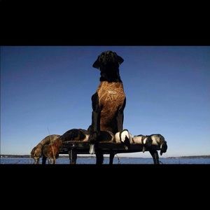 Meet your Posher, Jay